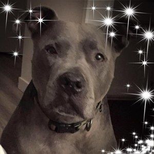 Meet your Posher, Valerie